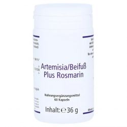 Артемизинин 150 мг капс. 60шт в Сыктывкаре и области фото