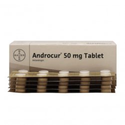 Андрокур (Ципротерон) таблетки 50мг №50 в Сыктывкаре и области фото